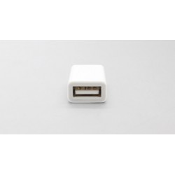 Apple iPhone iPad iPod USB Female til Lightning 8PIN Male