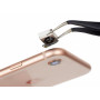 Apple iPhone 8  Bag Kamera Udskiftning