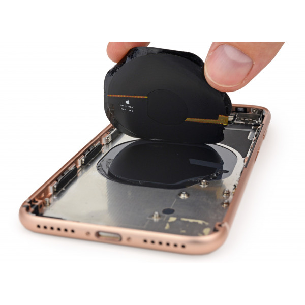 Apple iPhone 8  Bag Kamera Udskiftning