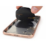 Apple iPhone 8  Bag Kamera Udskiftning