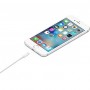 OEM Version 8 Pin USB Sync Data / Opladerkabel 2M (Hvid)