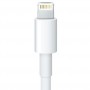 Original APPLE Lightning til 30-PIN Kabel Adapter MD824ZM/A - 0,2 M