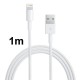 2 in 1 (5V 1A EU Plug Travel Charger Adapter) til iPhone 5 / 5S / 5C, iPod Touch 5 th / iPod Nano 7G