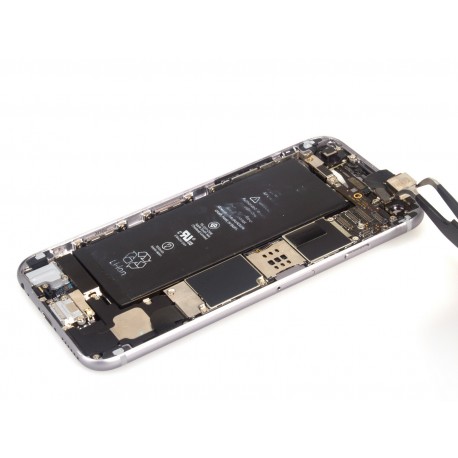 iPhone 6 Bag Kamera Udskiftning