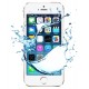 iPhone 5S Vandskade Reparation