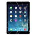 iPad Mini 2/3 Retina LCD + Touch Skærm Udskiftning - Sort