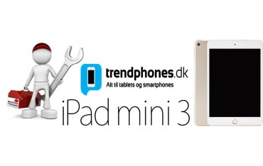 iPad Mini 3 Reparation